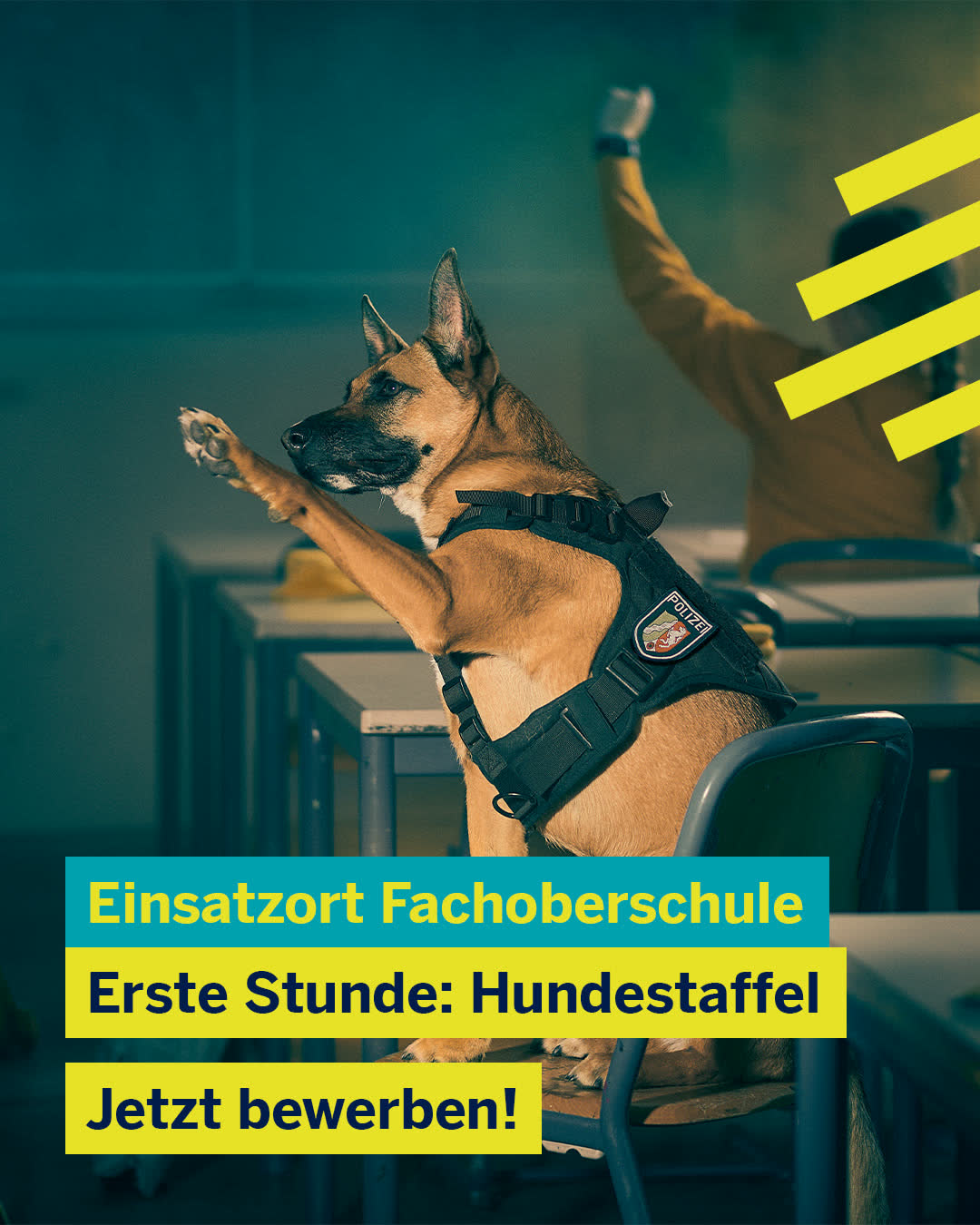 Recruiting-Kampagne der Polizei — Diensthund meldet sich im Klassenzimmer