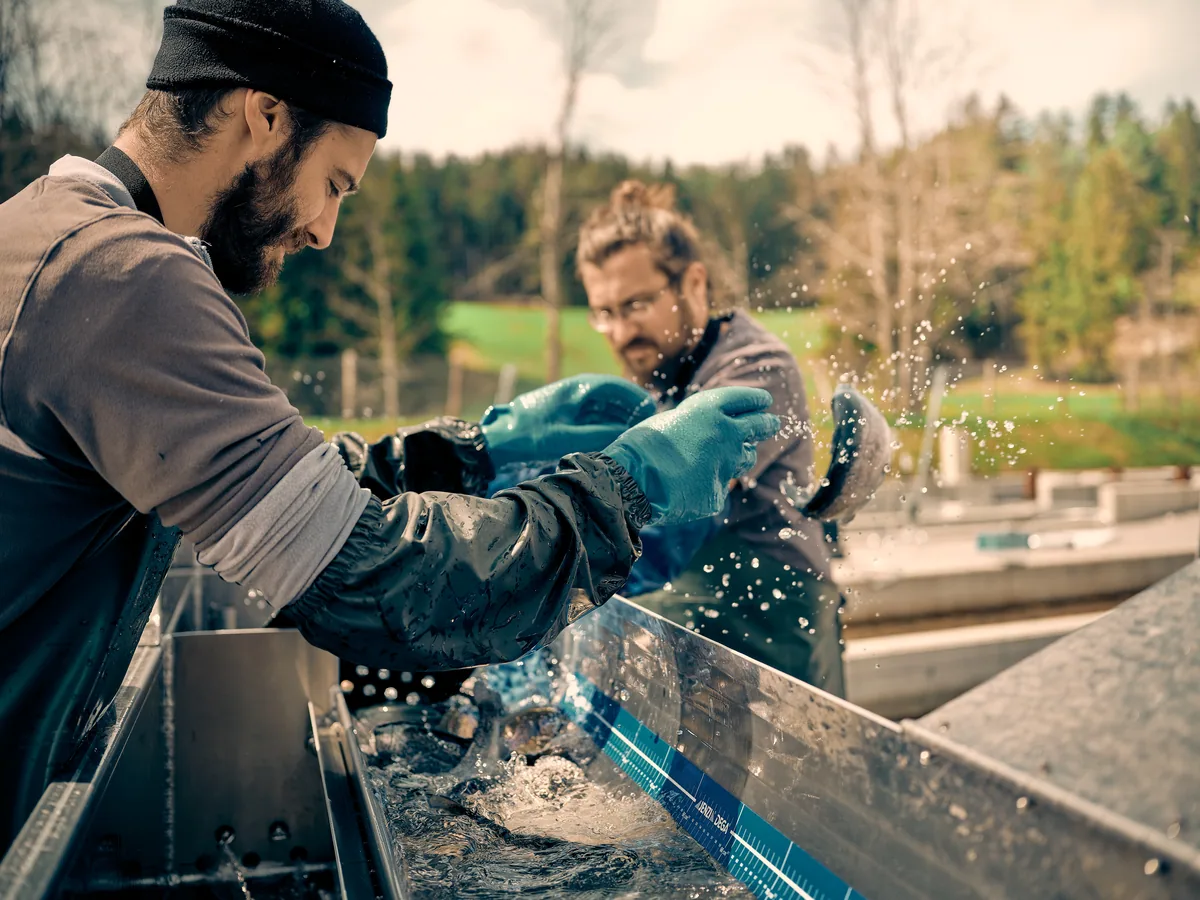 Oberwasser, Imagekampagne, Wien, Österreich: Bild 5